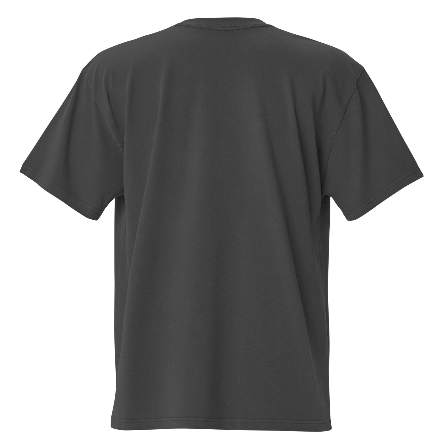 Liz Joi Oversized faded Classic t-shirt