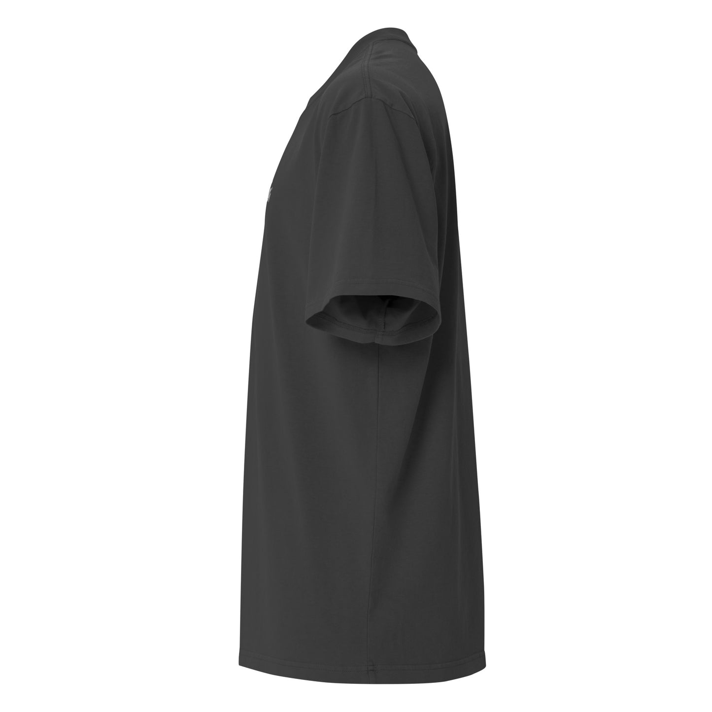 Liz Joi Oversized faded Classic t-shirt