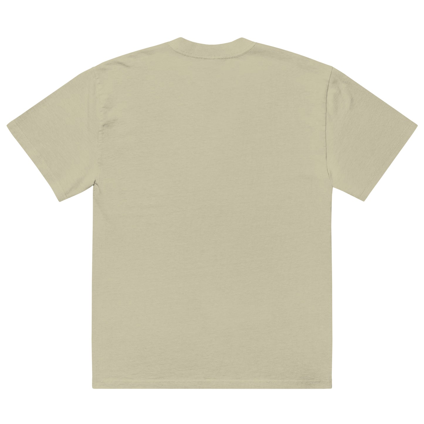 Liz Joi Oversized faded Classic t-shirt