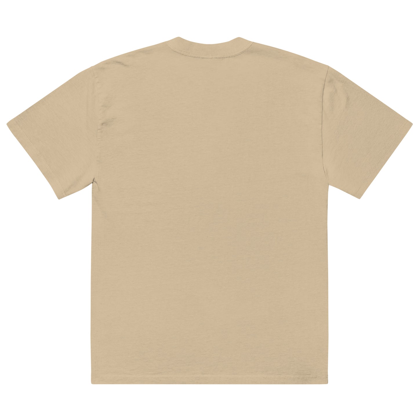 Liz Joi Oversized faded Classic t-shirt